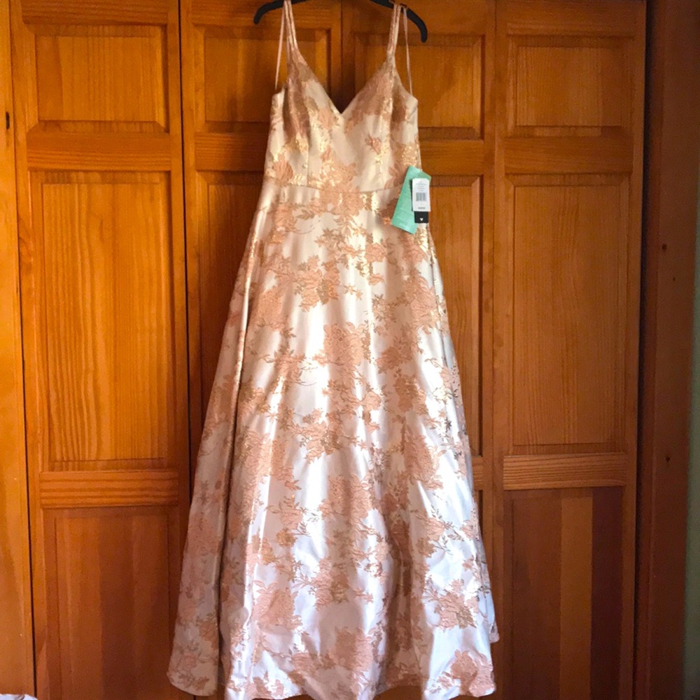 Blush Ball Gown